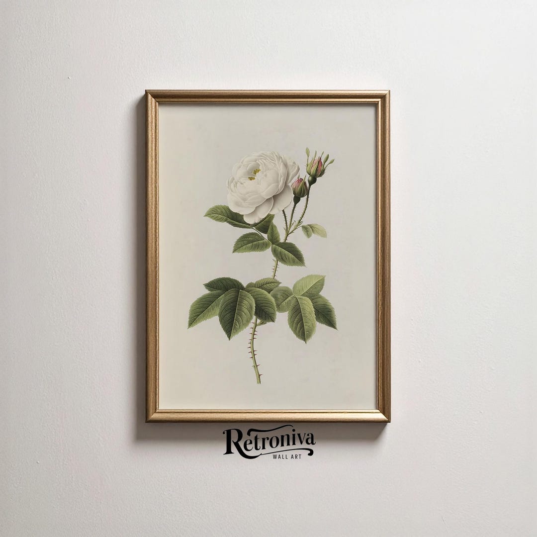 White Rose Botanical Print Vintage Floral Wall Art | Antique Flower Art ...
