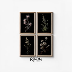 May include: Four framed botanical prints featuring detailed illustrations of various wildflowers against a black background. The prints are in wooden frames and are arranged in a two-by-two grid. The bottom right corner of the image has the text "Retroniva WALL ART".