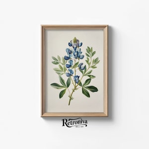 Blue Flower Vintage Botanical Print | Lupinus Botanical Farmhouse Wall Decor | Blue Sage Floral Painting | Retroniva PRINTABLE Art BTN-007