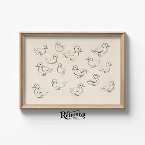 Vintage Ducks Sketch Drawing Neutral Nursery Wall Art | Animal Sketch Art Print Minimalist Wall Decor | Retroniva PRINTABLE Art SKT-032