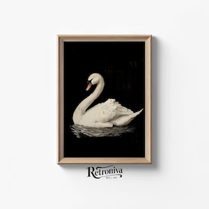 Vintage Swan Oil Painting | Antique Swan Art Print Neutral Wall Decor | Animal Painting Nursery Wall Art | Retroniva PRINTABLE Art ANM-016