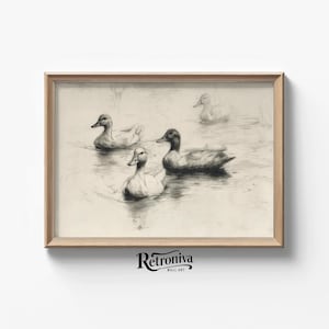 Ducks Swimming in the Lake Antique Sketch Drawing | Vşntage Sketch Art Print Neutral Amimal Wall Decor | Retroniva PRINTABLE Art SKT-055