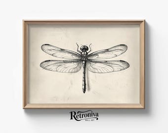 Dragonfly Sketch Drawing Antique Wall Art | Neutral Farmhouse Sketch Art Vintage Insect Animal Wall Decor | Retroniva PRINTABLE Art SKT-039