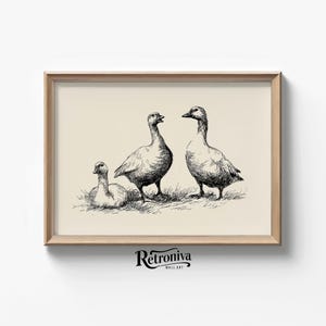 Minimalist 3 Ducks Sketch Drawing Vintage Nursery Wall Decor | Neutral Kids Room Art Print Animal Wall Art | Retroniva PRINTABLE Art SKT-053