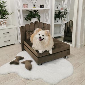 The best Gift for dog owener, Dog Bed, Dog Furniture Sofa, Tiny Dog Bed with Personalized Pillow, Dog Accessories and Supplies, cat bed