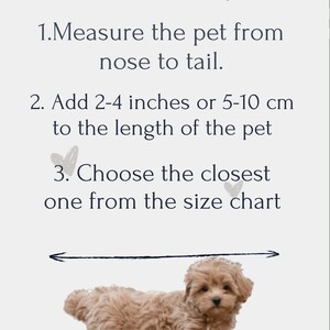how to choose bed size for your pet
