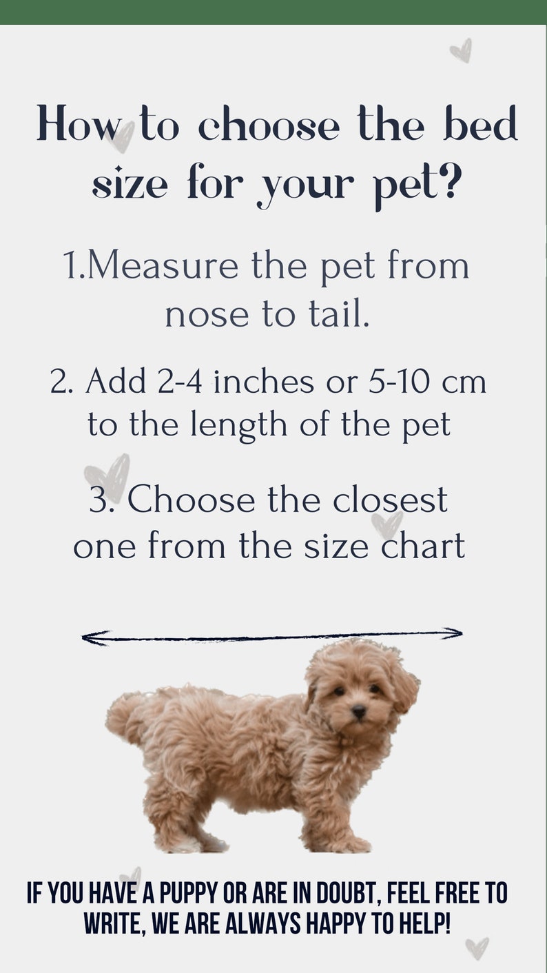 how to choose bed size for your pet