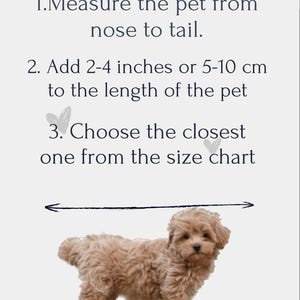 how to choose bed size for your pet