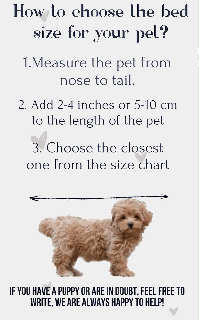 how to choose bed size for your pet