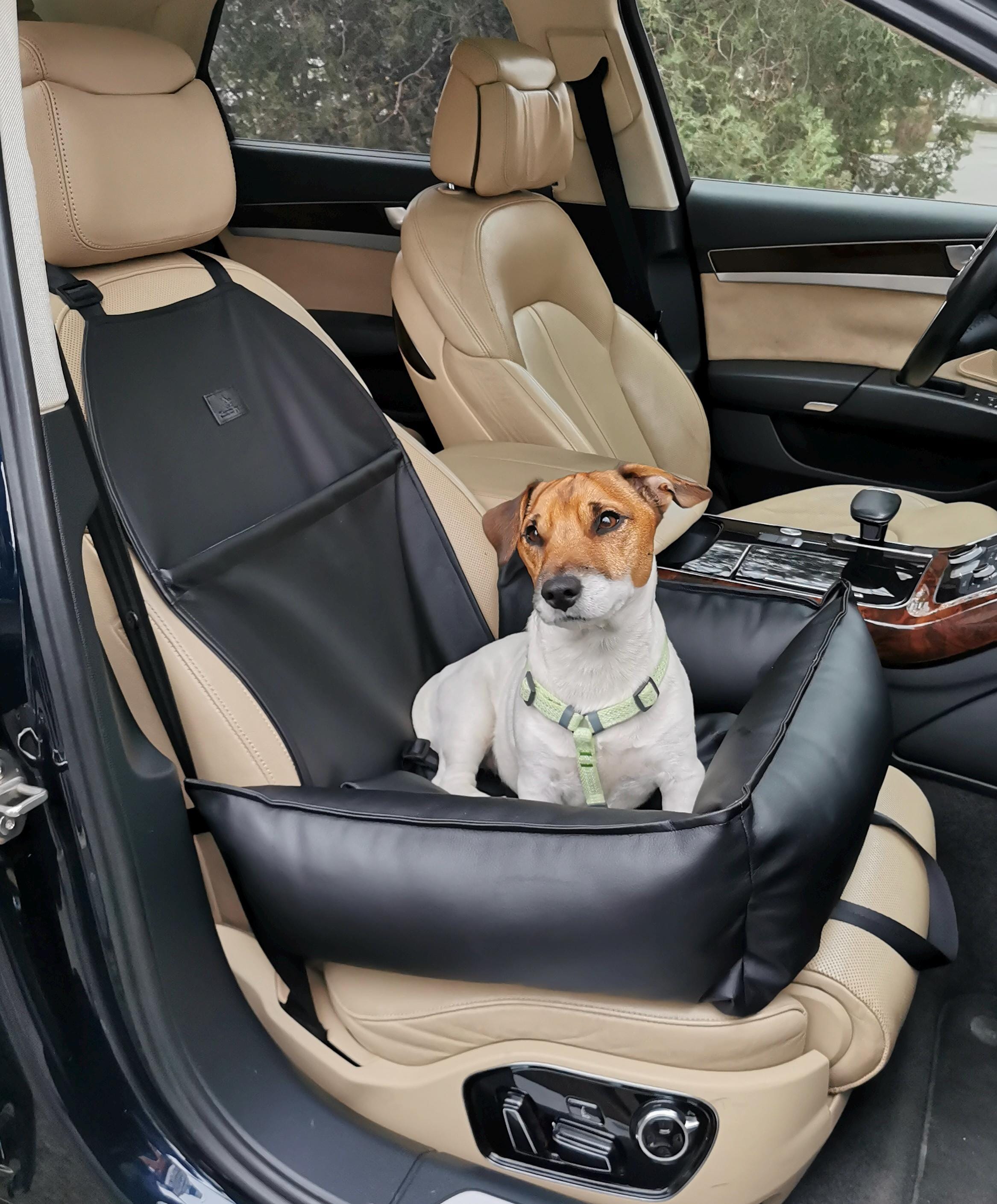 Dog Car Booster Seat Safety Travel Safe Puppy Pet Soft In Small (32x42x42) Red - Australia - View #2