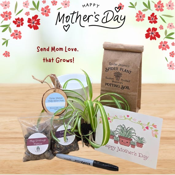 Mother's Day Plant Gift Set - Plant Included!!