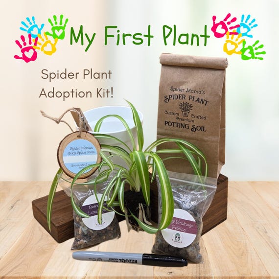 My First Plant Kit - Everything Included!