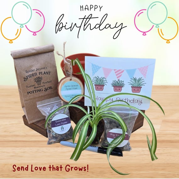 Birthday Plant Gift Set - Everything Included!!
