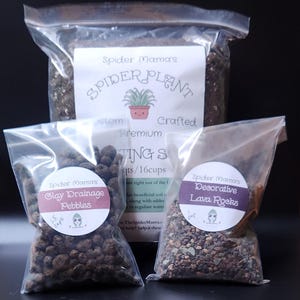 Premium Spider Plant Soil & Re-Potting Kit