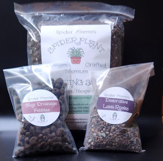 Premium Spider Plant Soil & Re-Potting Kit