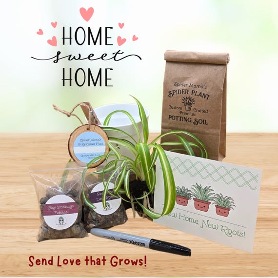 New Home Plant Gift Set - Plant Included!!