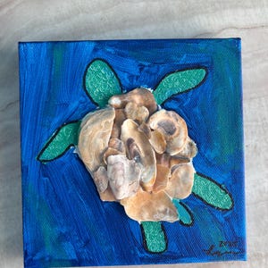 Seashell Turtle