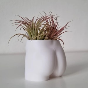 Feminist Booty Planter, 3D Printed Naked Woman Vase, Eco-Friendly Succulent Pot, Unique Gift for Her, Body Positive Art, Artistic Decor