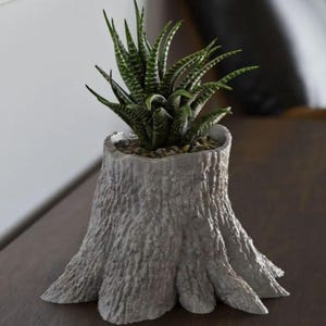 3D Printed Tree Stump Planter: Biodegradable Succulent Pot & Boho Bowl