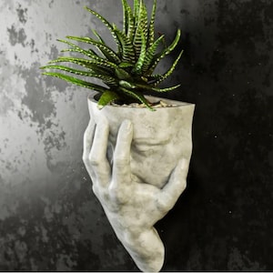 May include: A white ceramic planter shaped like a hand holding a succulent plant. The planter has a textured surface and is designed to be mounted on a wall.