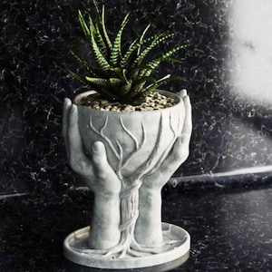 May include: A white ceramic planter shaped like two hands holding a bowl. The bowl is filled with soil and a green succulent plant. The planter has a tree trunk design.
