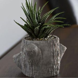 3D Printed Tree Stump Planter: Eco-Friendly Succulent & Bonsai Pot