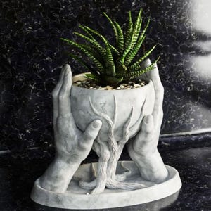 Peut inclure: Un pot en céramique blanche en forme de deux mains tenant un pot avec une plante succulente. Le pot a un motif de tronc d'arbre et les mains sont détaillées avec des doigts et des rides.