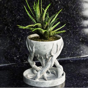 Puede incluir: Un macetero de cerámica blanca con forma de manos sosteniendo un cuenco. El macetero tiene un acabado texturizado de mármol. Una planta suculenta verde está creciendo en el cuenco.