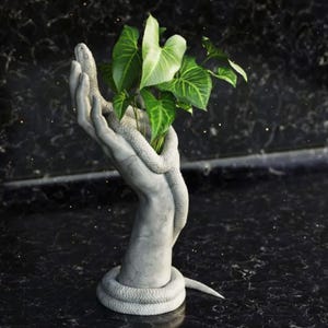 Può includere: Una scultura di mano in cemento grigio con un serpente avvolto attorno, che tiene una piccola pianta verde. La scultura è su una superficie nera.