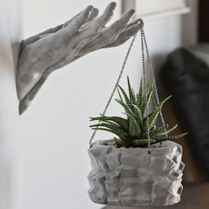 Könnte beinhalten: Eine Betonhandskulptur mit einem Hängepflanztopf. Der Topf ist aus Beton und hat eine raue, strukturierte Oberfläche. Der Topf ist mit einer grünen Sukkulente bepflanzt.