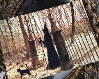 Last One! 5x7 One Art Print from my Original Painting Witchcraft Moon Cat Witch Cemetery Halloween Terri Foss