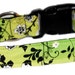 see more listings in the Girly Dog Collars section