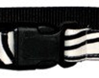 Zebra Stripe Dog Collar