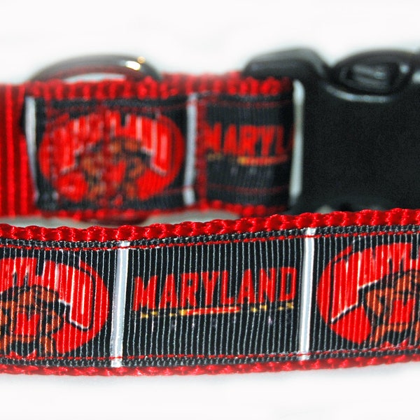 Maryland University Dog Collar