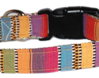 Granola Crunch Dog Collar