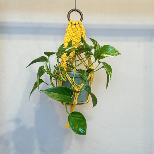 Makramee mini Blumenampel in gelb