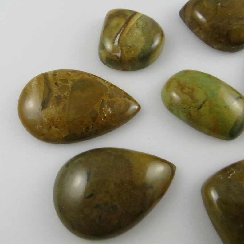 Brown Picture Jasper Assorted Flat-Back Gemstone Cabochons 50 grams X155 7 Seven