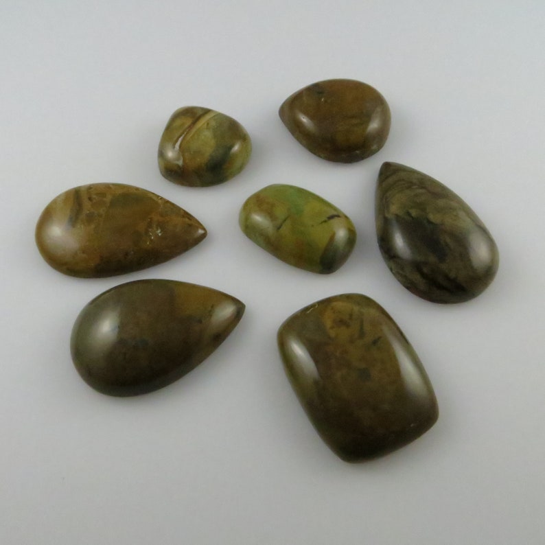 Brown Picture Jasper Assorted Flat-Back Gemstone Cabochons 50 grams X155 7 Seven