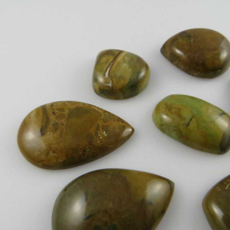 Brown Picture Jasper Assorted Flat-Back Gemstone Cabochons 50 grams X155 7 Seven