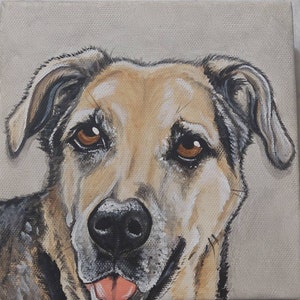 Custom Pet Portrait Painting 6x6, pet memorial, pet loss, dog art, pet owner gift,  personalized art, gift for her, for him, painted pet