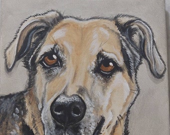 Custom Pet Portrait Painting 6x6, pet memorial, pet loss, dog art, pet owner gift,  personalized art