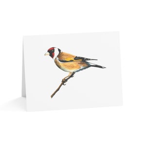Original watercolor card set with matching envelopes, goldfinch bird, note cards, greeting cards, blank cards, stationary, gift set