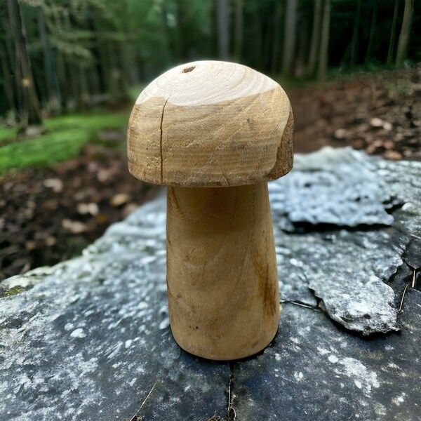 Rustikaler Deko-Pilz aus Holz, handgefertigt, zauberhafte Walddeko für Zuhause, perfektes Naturfreund-Geschenk