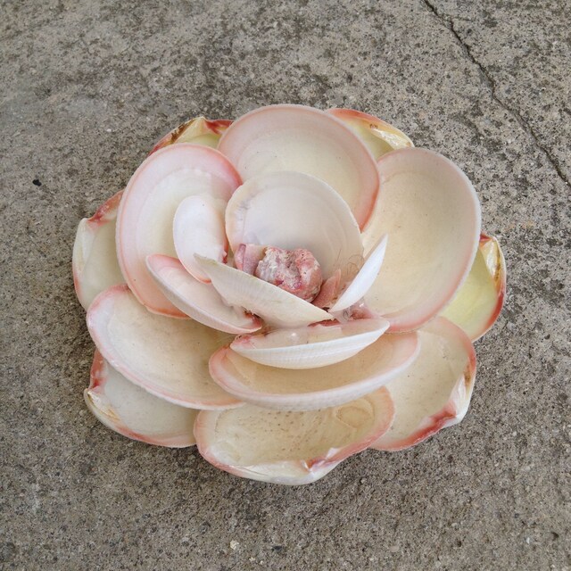 beautyandthegreen - Etsy