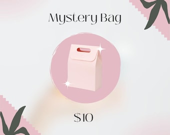 Audie's Destash for Home Fundraiser - Mystery Yarn Cozy or Bag: Surprise