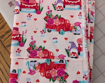 Valentine's Day Truck Gnomes Project Bag and Cozies