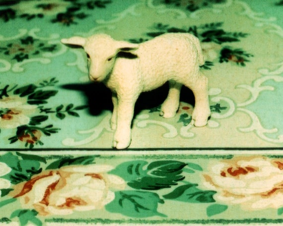 Items similar to lamb II, 8x10 archival print photograph of miniature