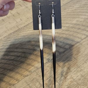 May include: A pair of long, dangling earrings made from natural porcupine quills. The quills are primarily white with brown and black tips, suspended from silver-colored hooks and coiled accents. The earrings are displayed on a black card.