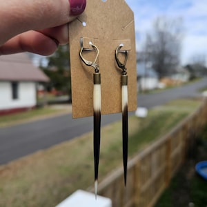 Porcupine Quill Dangle Earrings, Boho, Oddity Jewelry, Gauge friendly
