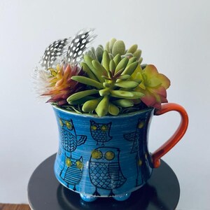 May include: A blue ceramic owl-themed mug with an orange handle, filled with succulents and feathers. The mug features hand-drawn owl illustrations and sits on a black surface. A decorative and unique planter.